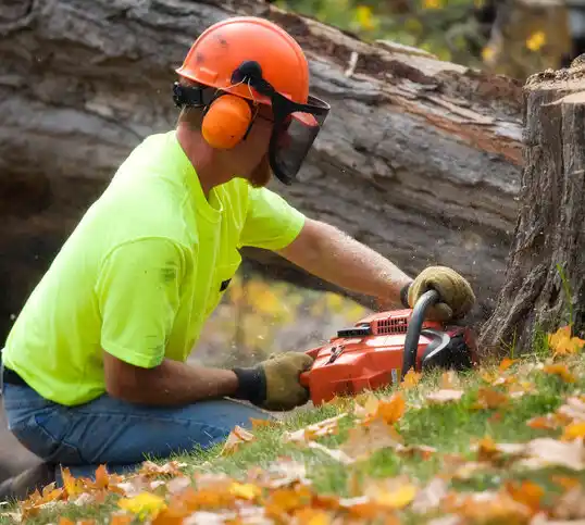 tree services Travilah